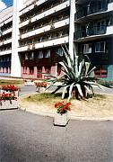 Klimkovice 2006