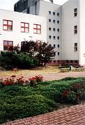Klimkovice 2006